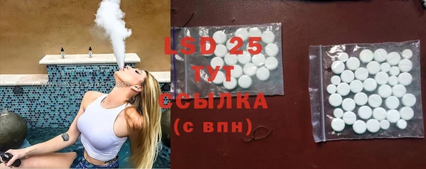 хмурый Алзамай