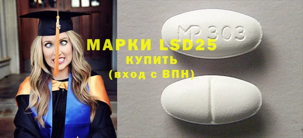хмурый Алзамай