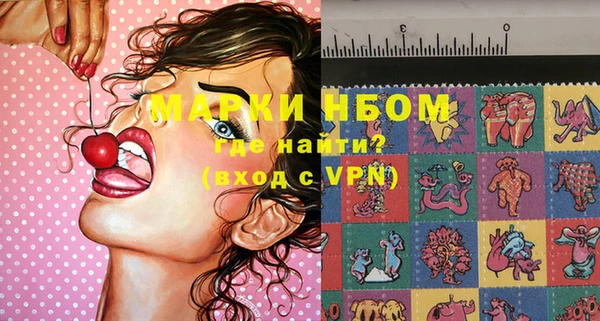 хмурый Алзамай